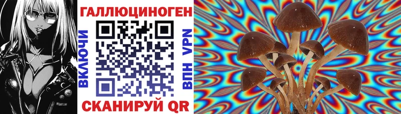 дарнет шоп  Билибино  Псилоцибиновые грибы Psilocybine cubensis 